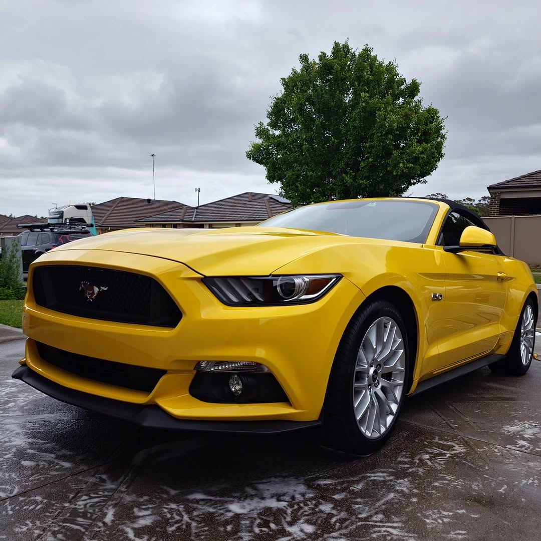 Ceramic coated Ford Mustang GT